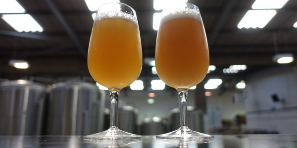 Should beer be cloudy?