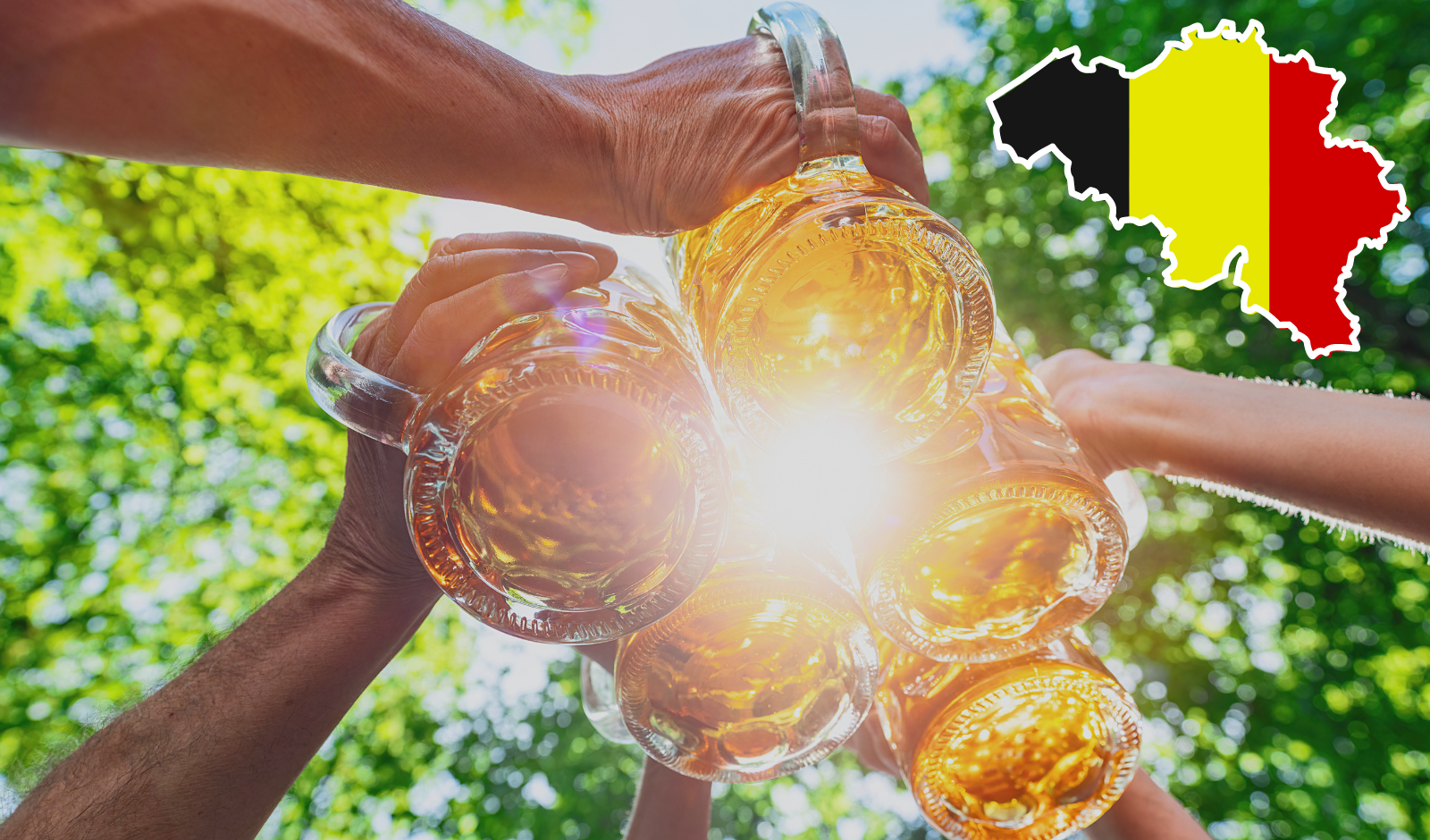 Belgian Beer at Beer Merchants