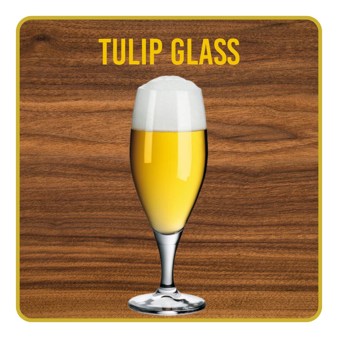 Tulip Glass Tulip Glass